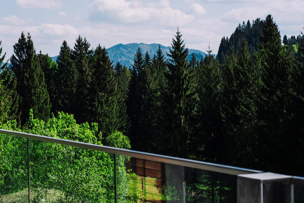 Allgaeuer Bergwald Chalets Wald Ausblick